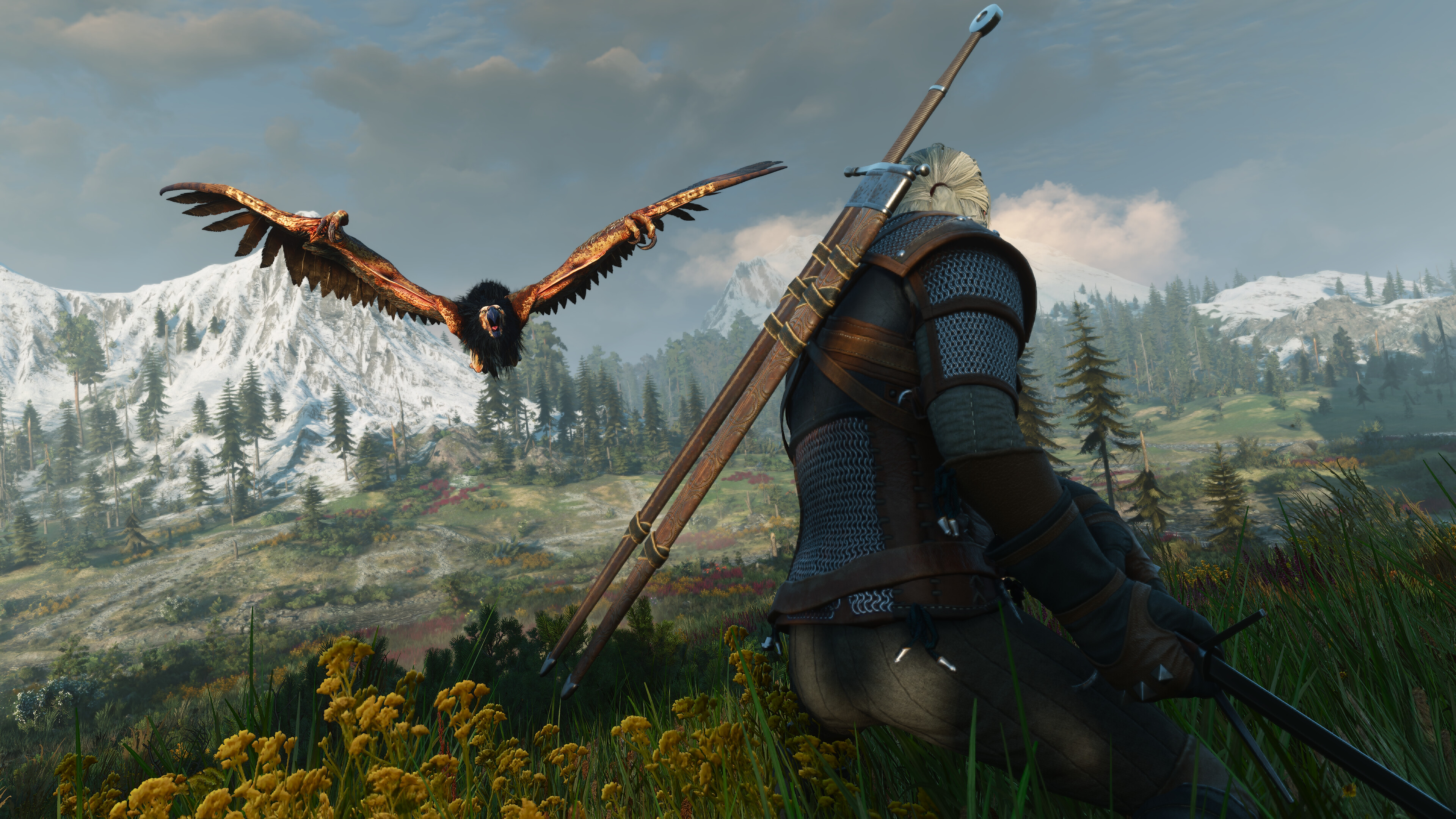 Групповое тестирование 46 видеокарт в The Witcher 3: Wild Hunt — Remastered