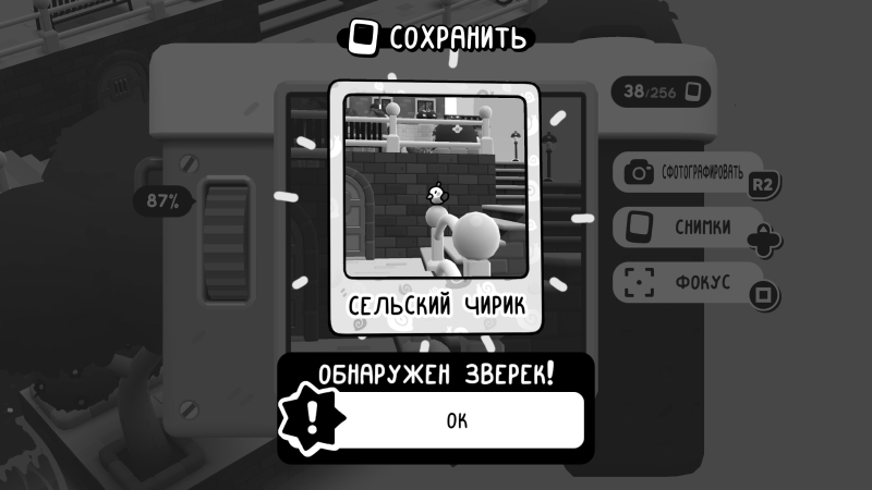  Сами решайте, какое здесь ударение 